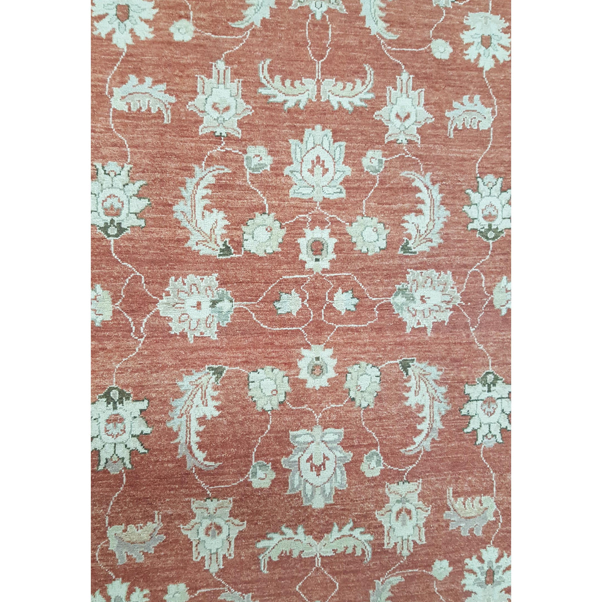 Pacific Ziegler 42126 Red Ivory Transitional Hand Knotted Rug