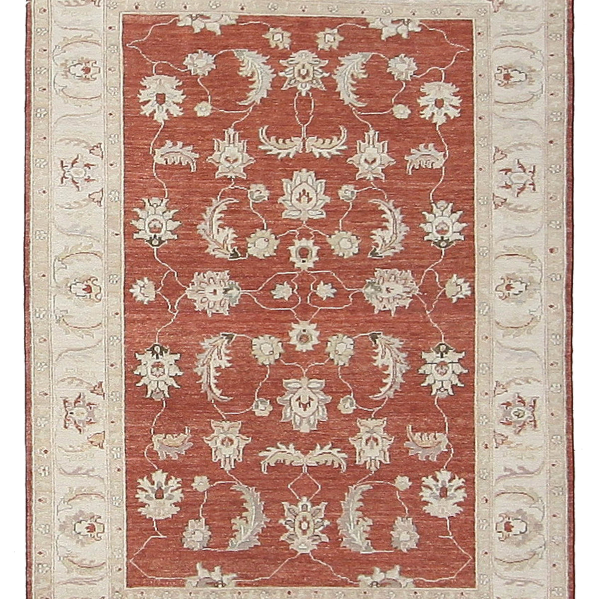 Pacific Ziegler  Red Ivory Transitional