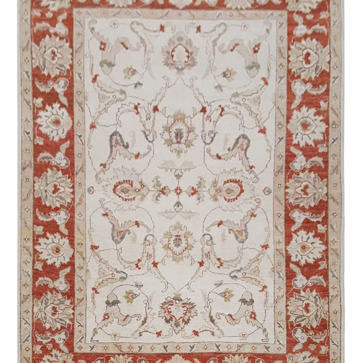 Pacific Ziegler  Ivory Red Transitional