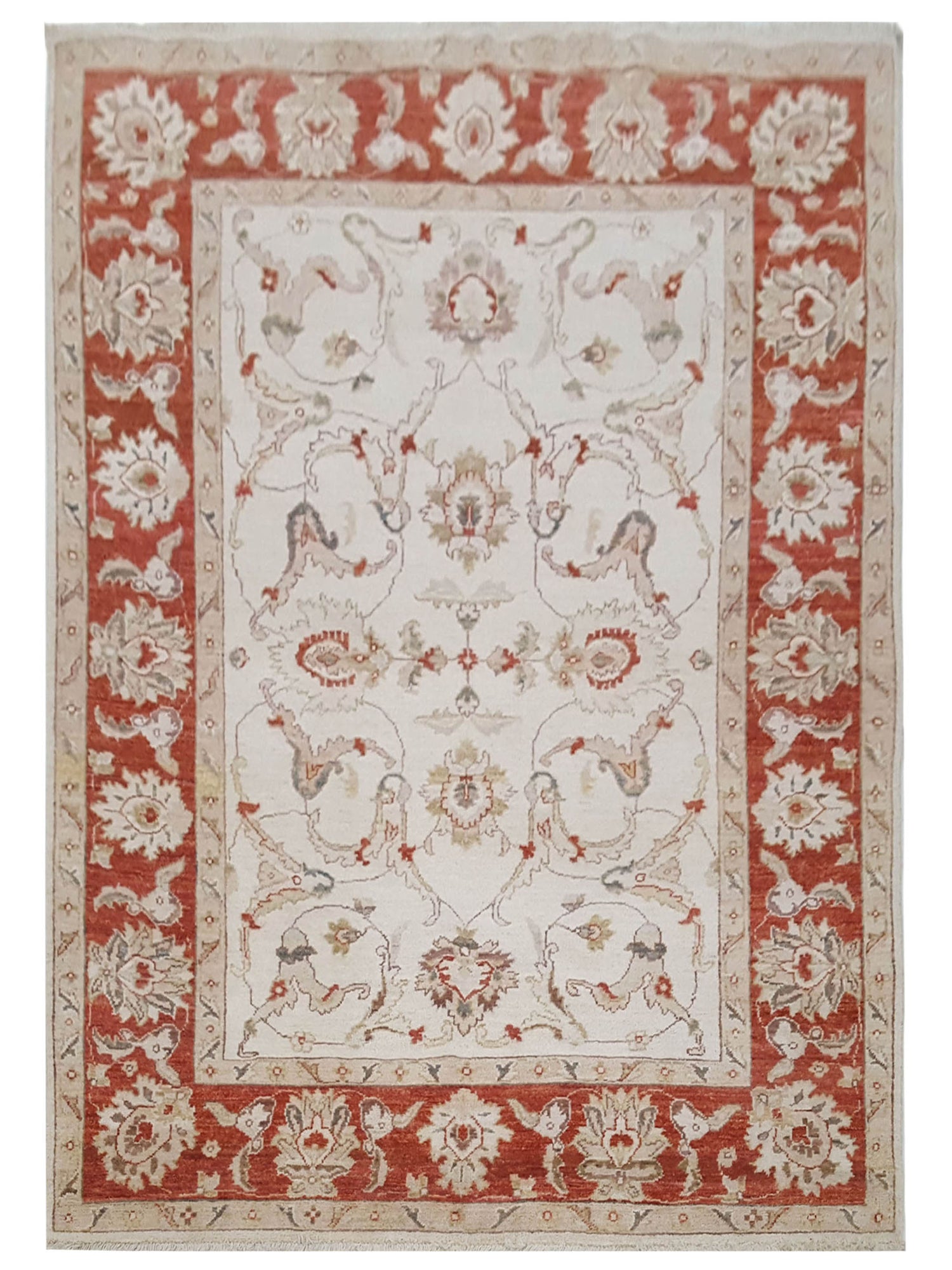 Pacific Ziegler  Ivory Red Transitional