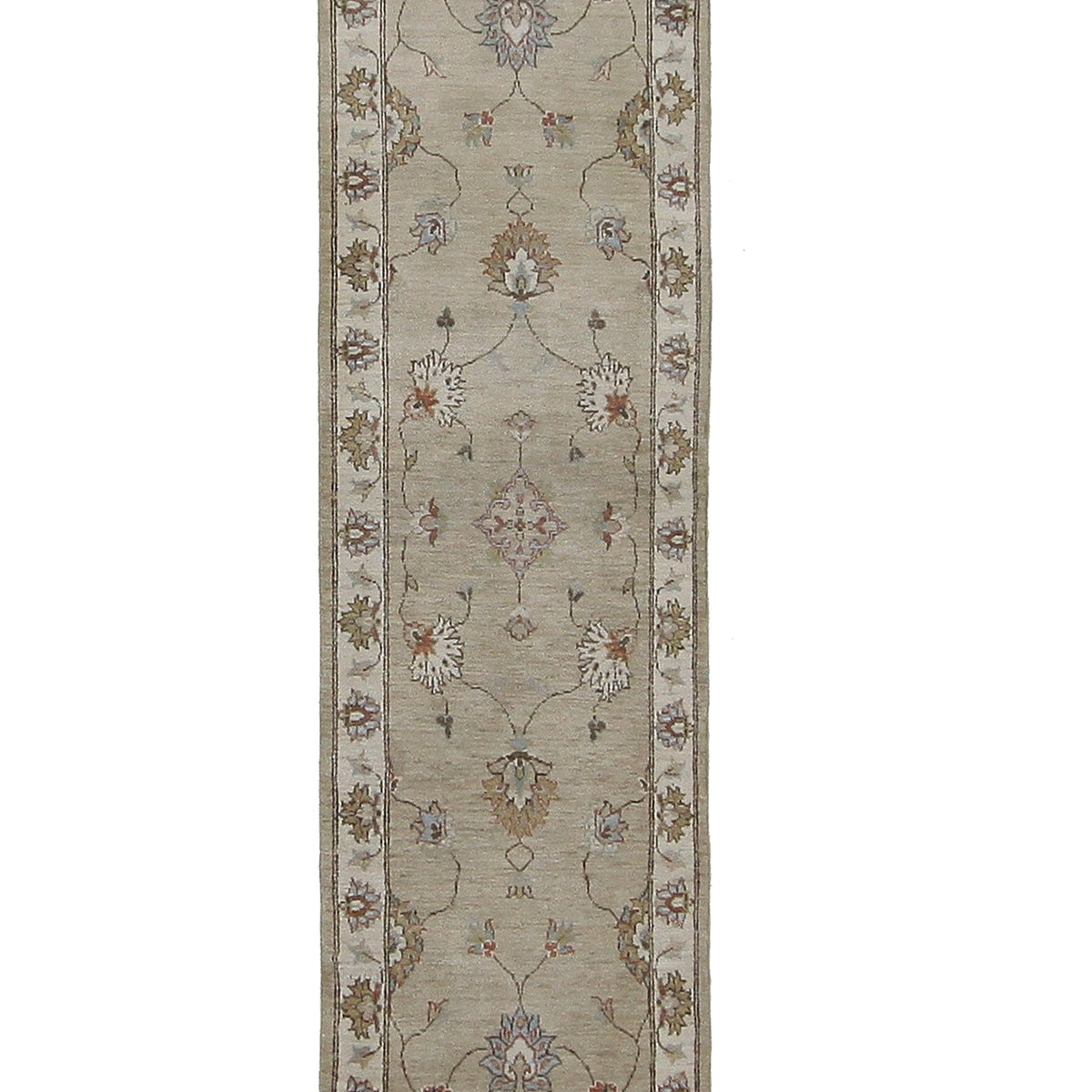 Pacific Ziegler  Lt.Brown Ivory Transitional