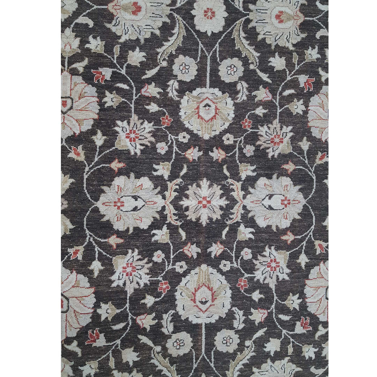 Pacific Ziegler 42137 Brown Ivory Transitional Hand Knotted Rug