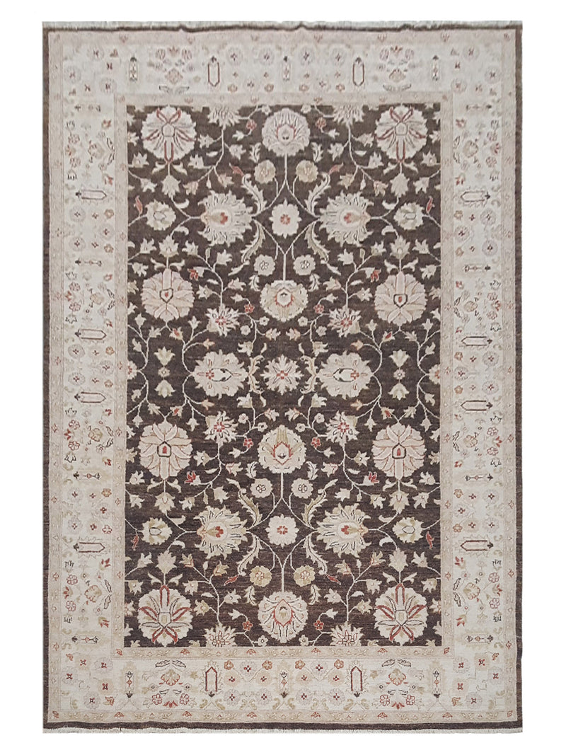 Pacific Ziegler  Brown Ivory Transitional