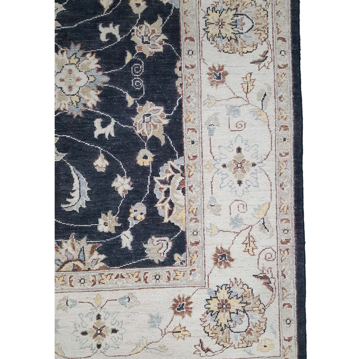 Pacific Ziegler 42157 Black Ivory Transitional Hand Knotted Rug