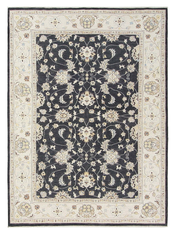 Pacific Ziegler  Black Ivory Transitional