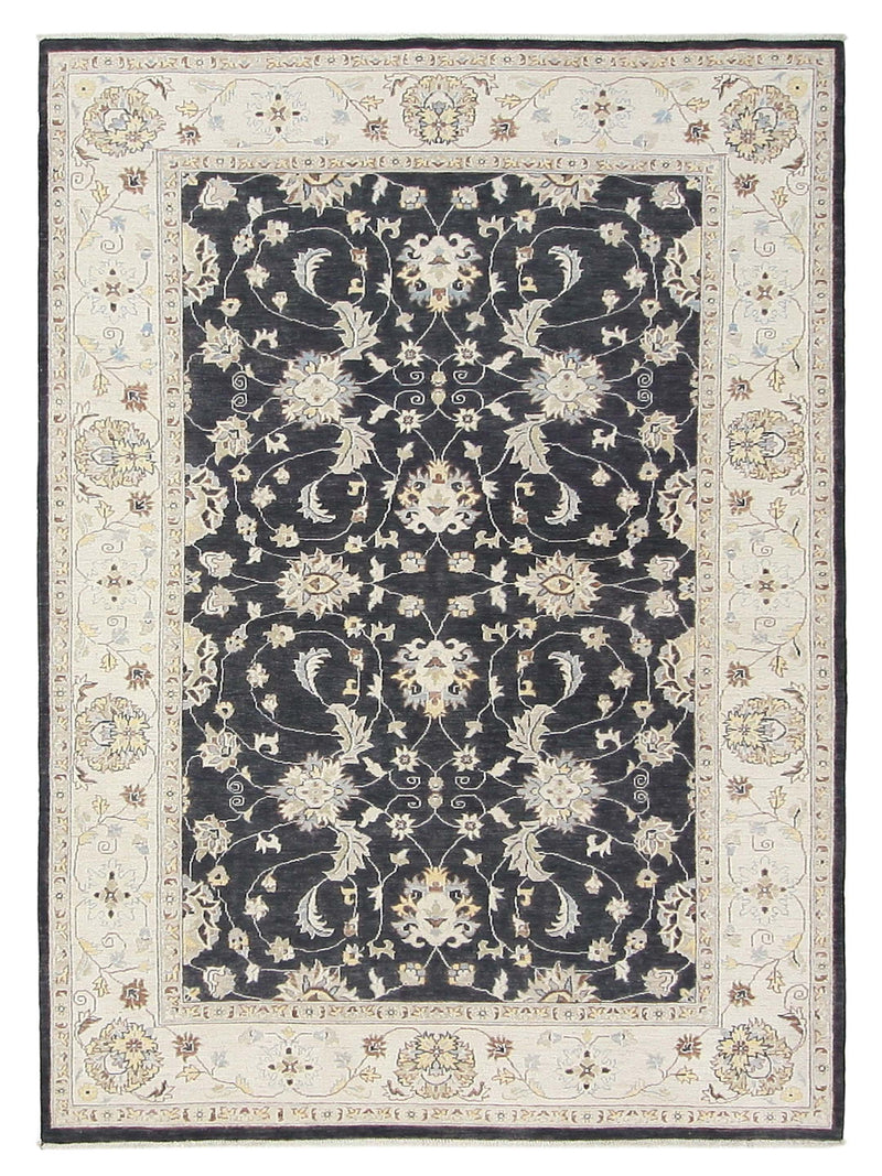 Pacific Ziegler  Black Ivory Transitional