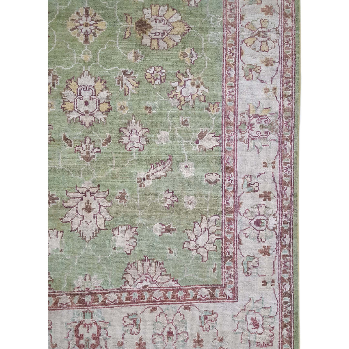 Pacific Ziegler 42164 Green Ivory Transitional Hand Knotted Rug