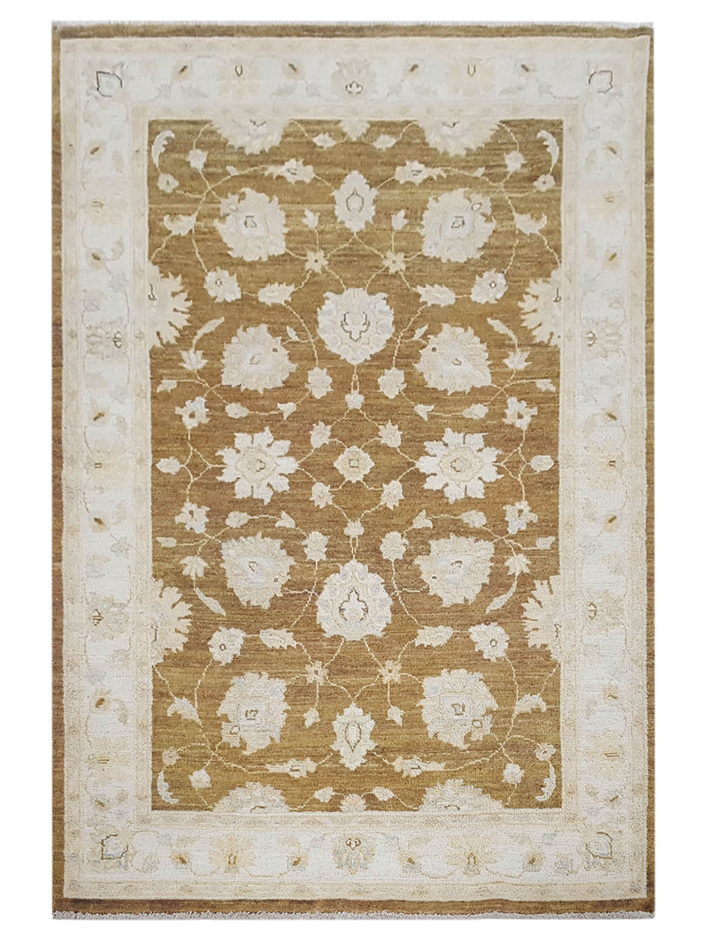 Pacific Ziegler  Brown Ivory Transitional