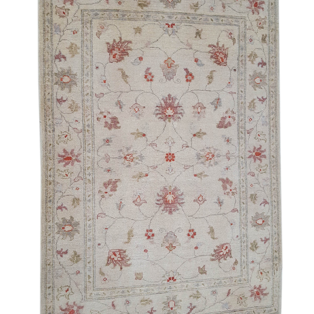 Pacific Ziegler 42166 Ivory Ivory Transitional Hand Knotted Rug