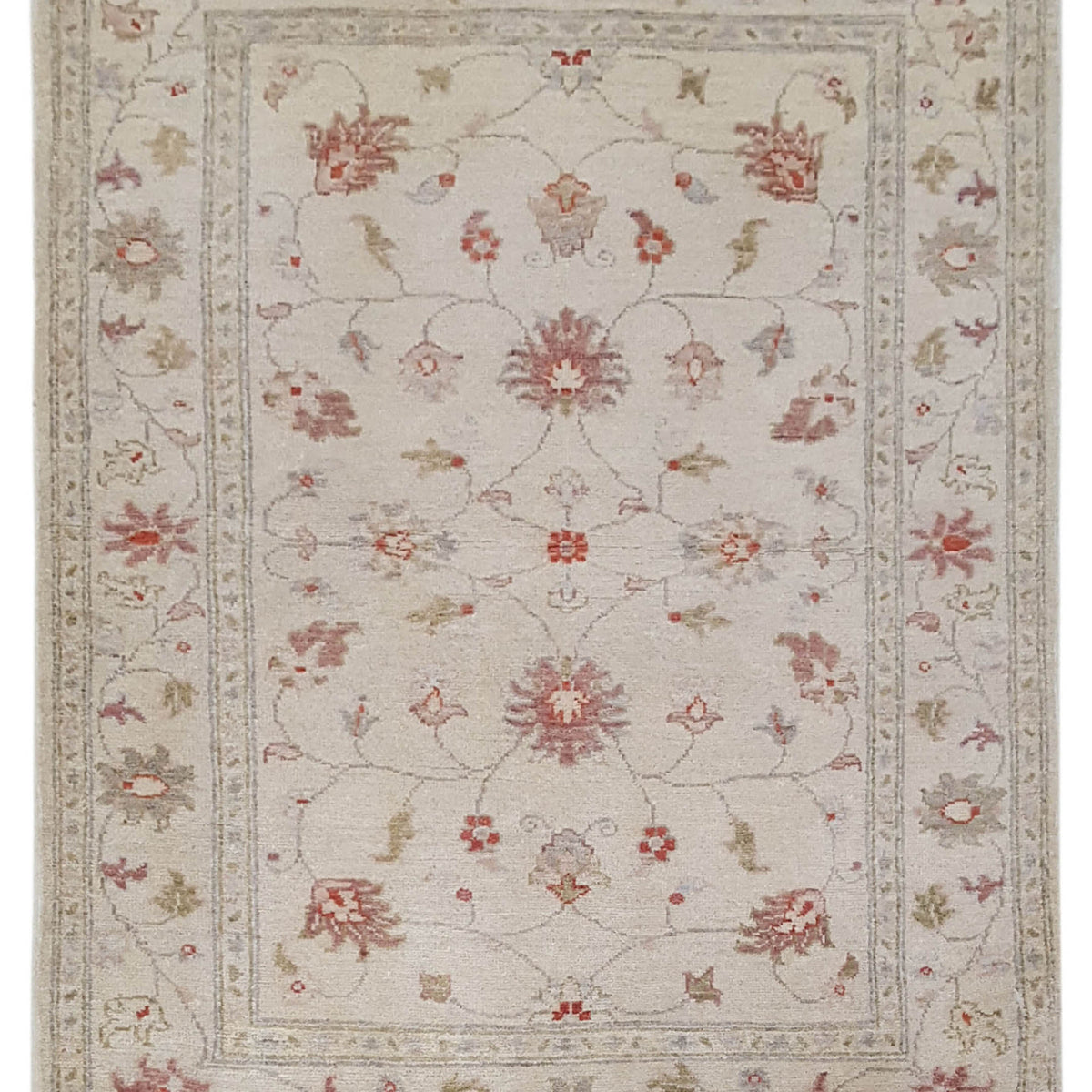 Pacific Ziegler  Ivory Ivory Transitional