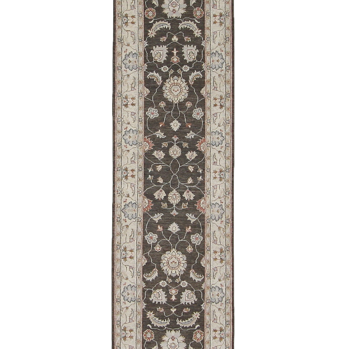 Pacific Ziegler  Brown Ivory Transitional