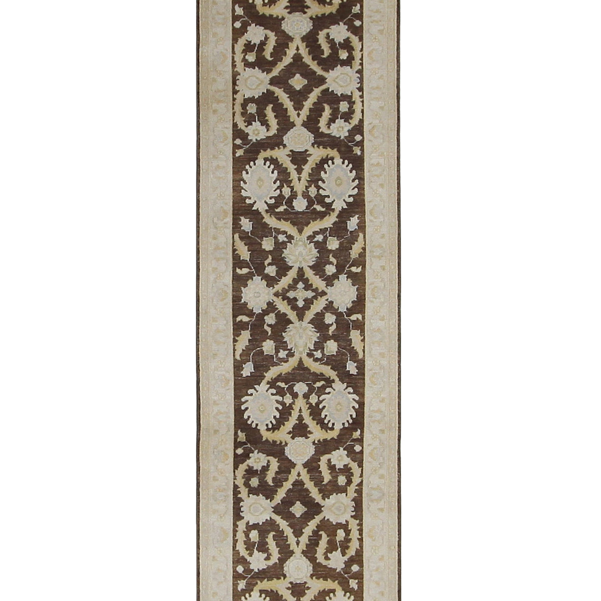 Pacific Ziegler  Brown Ivory Transitional