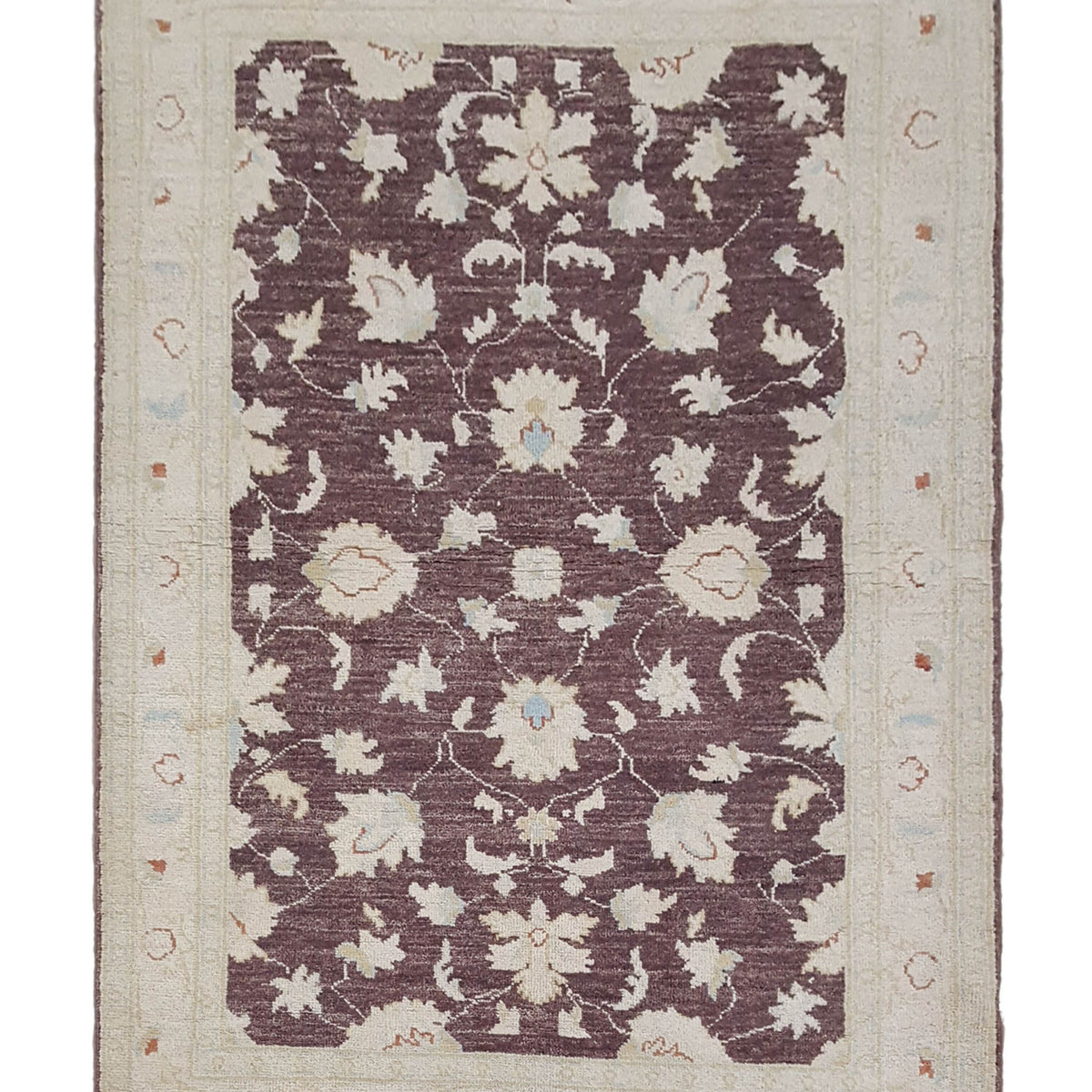 Pacific Ziegler  Brown Ivory Transitional