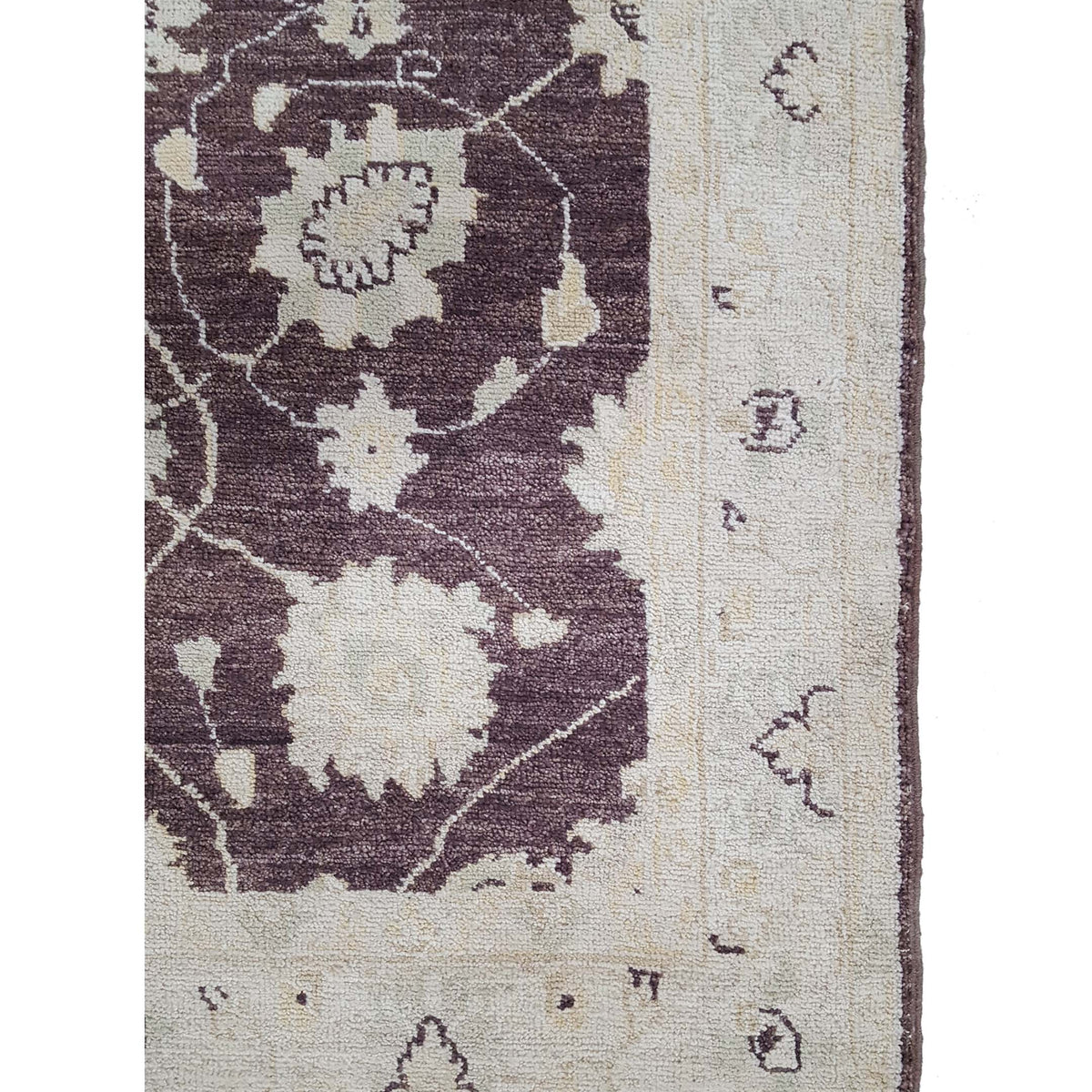 Pacific Ziegler 42218 Brown Ivory Transitional Hand Knotted Rug