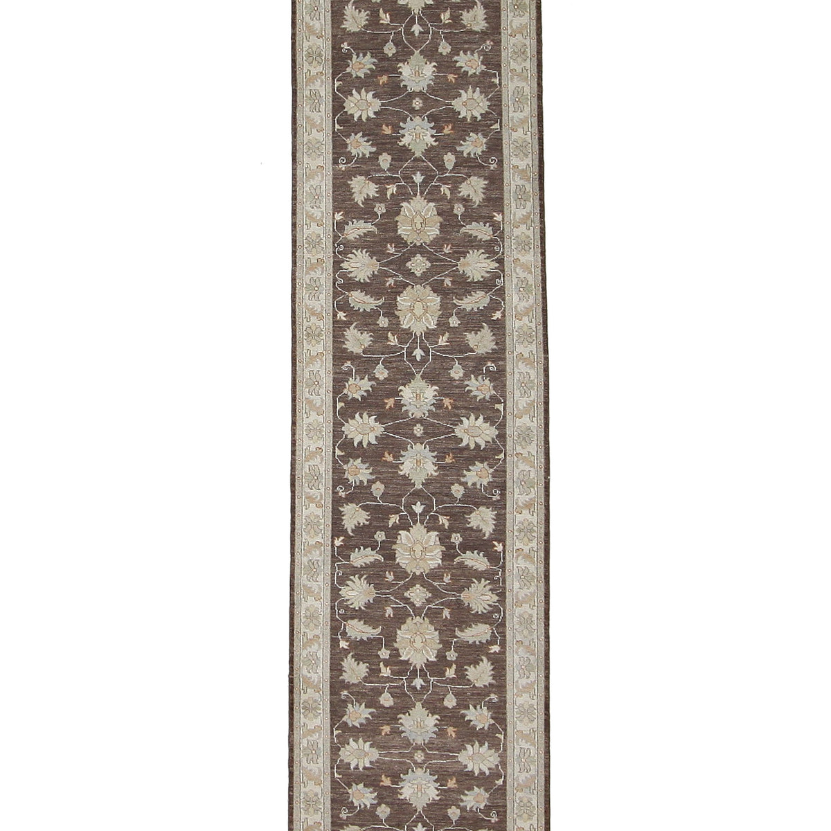 Pacific Ziegler  Brown Ivory Transitional
