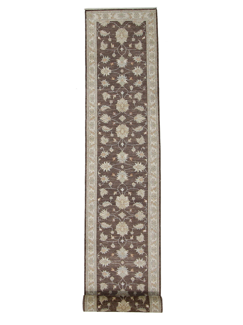 Pacific Ziegler  Brown Ivory Transitional