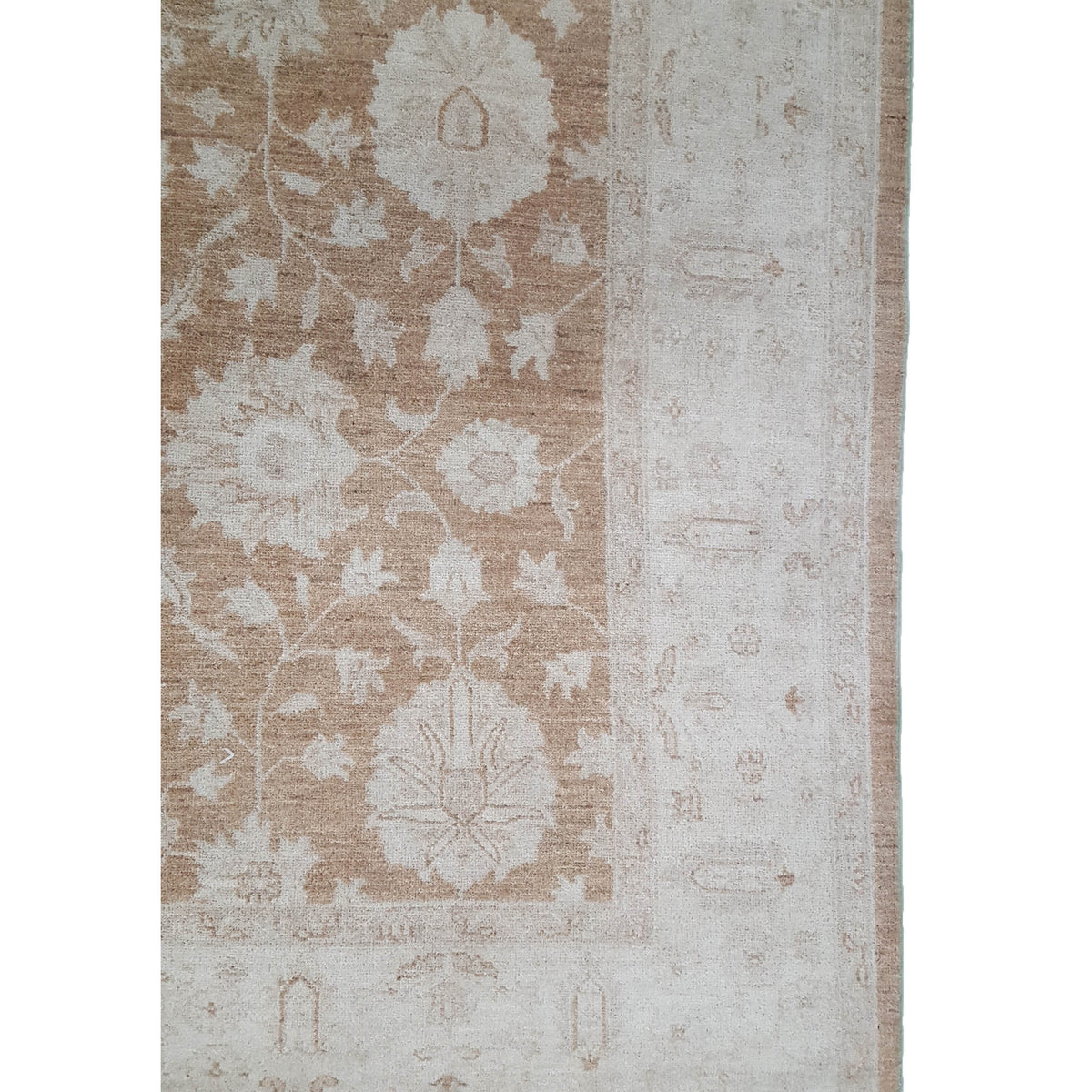 Pacific Ziegler 42220 Lt.Brown Ivory Transitional Hand Knotted Rug