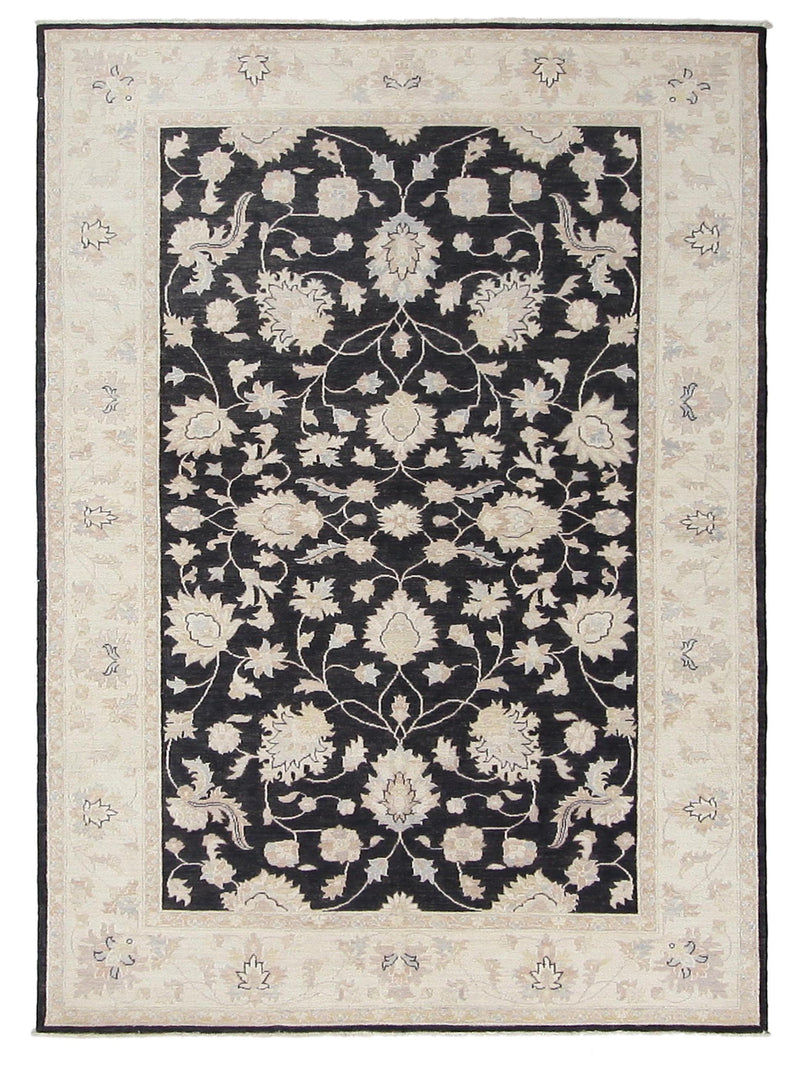 Pacific Ziegler  Black Ivory Transitional