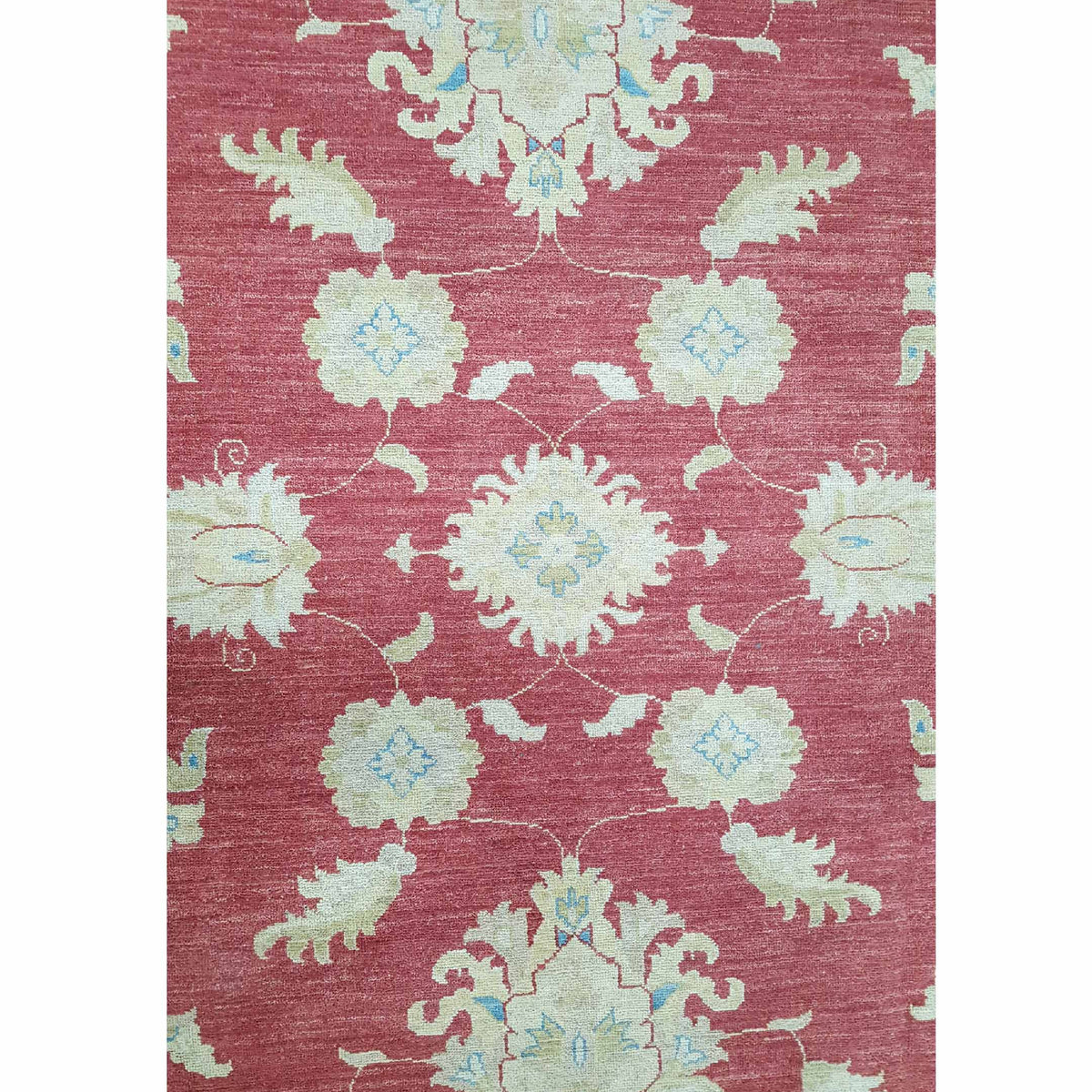 Pacific Ziegler 42226 Orange Ivory Transitional Hand Knotted Rug