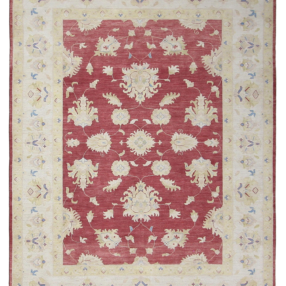 Pacific Ziegler  Orange Ivory Transitional
