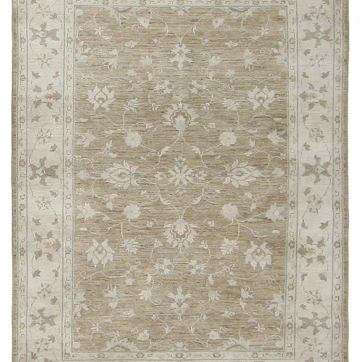 Pacific Ziegler  Brown Ivory Transitional