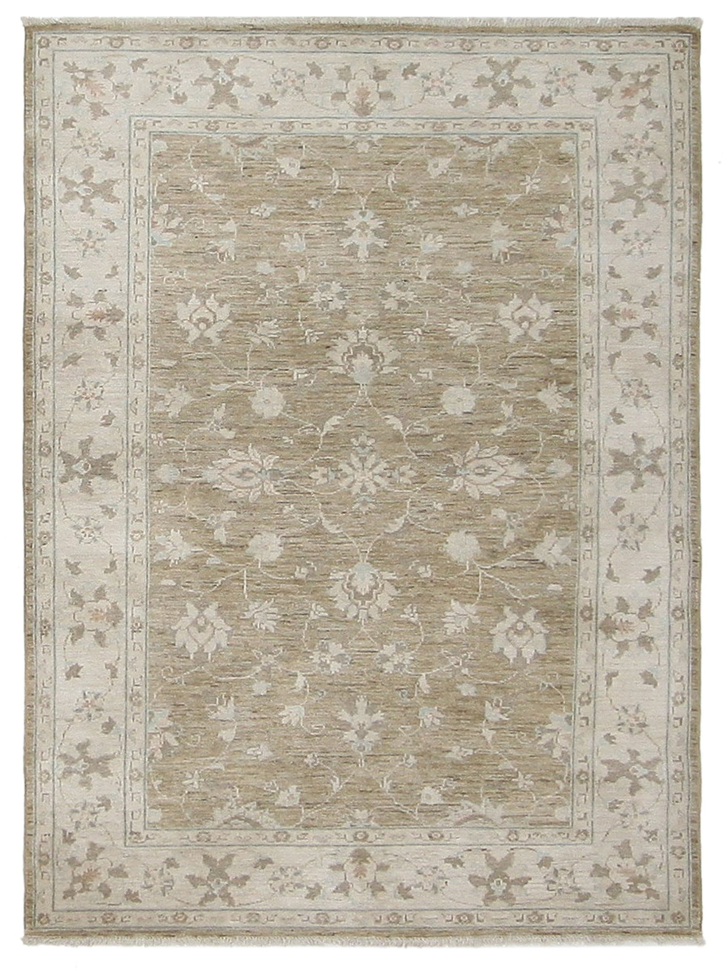 Pacific Ziegler  Brown Ivory Transitional