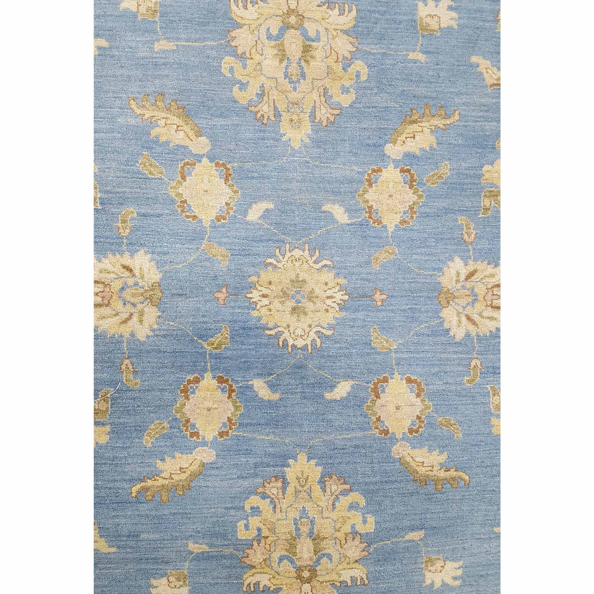 Pacific Ziegler 42238 Blue Ivory Transitional Hand Knotted Rug