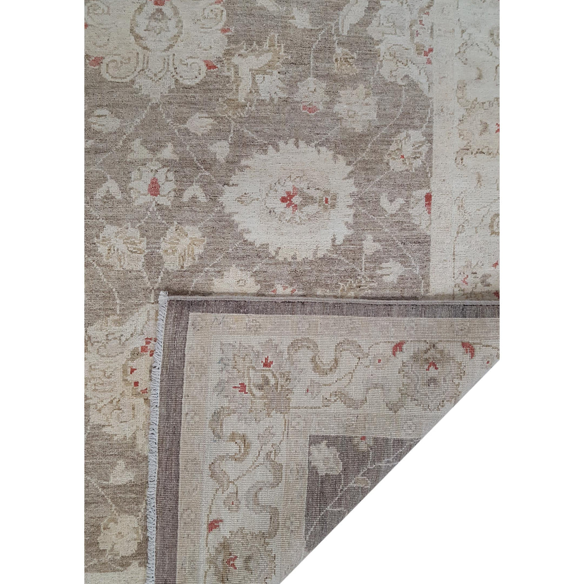 Pacific Ziegler 42246 Brown Ivory Transitional Hand Knotted Rug