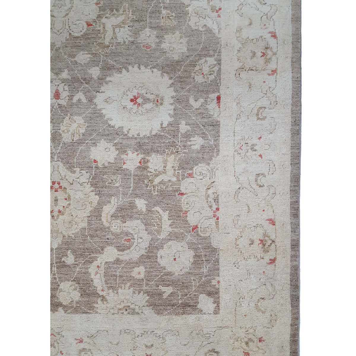 Pacific Ziegler 42246 Brown Ivory Transitional Hand Knotted Rug
