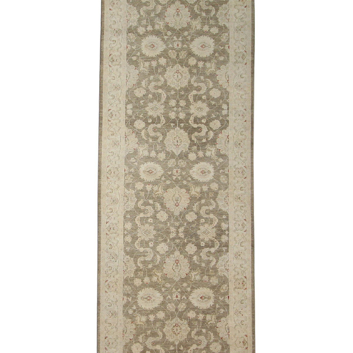 Pacific Ziegler  Brown Ivory Transitional