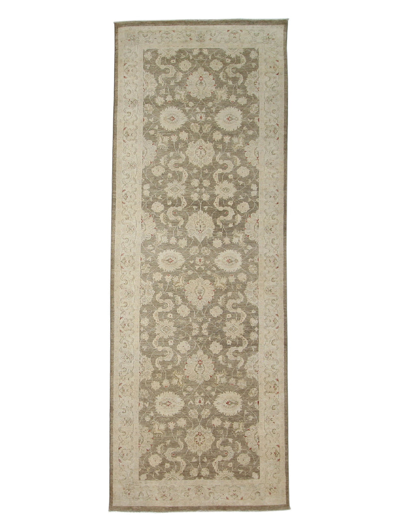 Pacific Ziegler  Brown Ivory Transitional