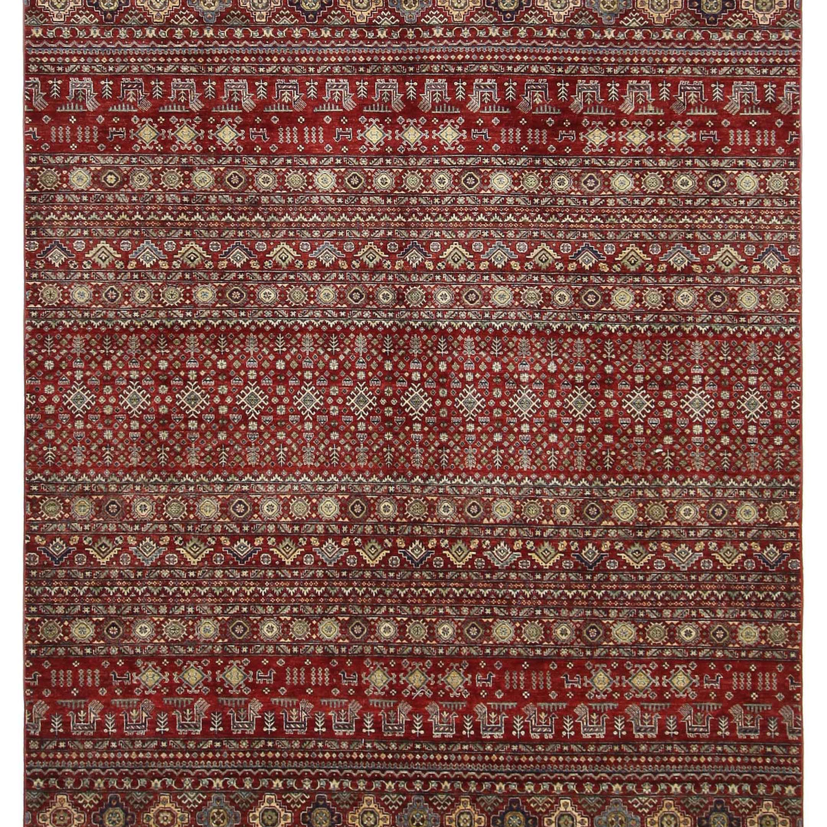 Pacific Khorgeen  Red Red Transitional