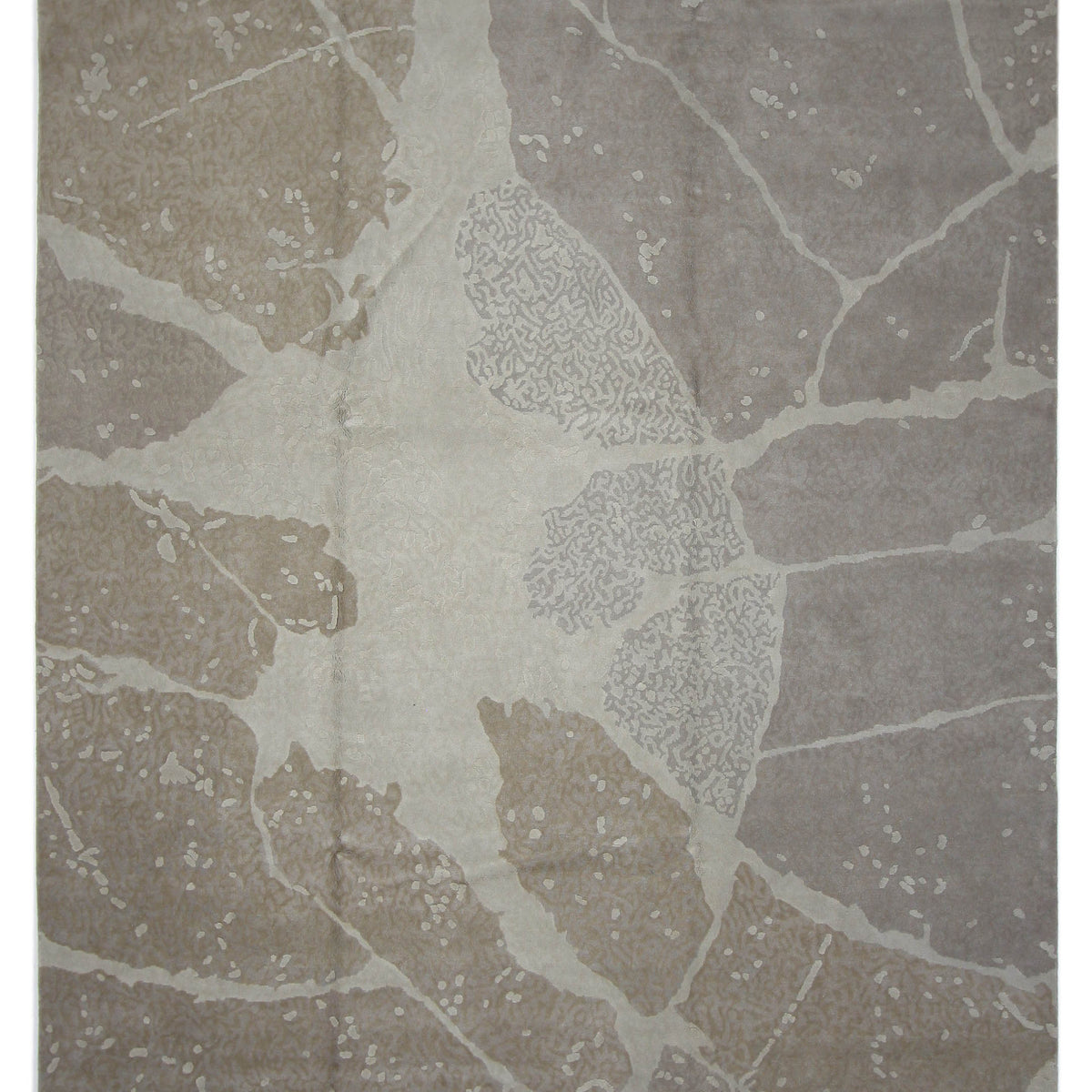 Pacific Nepoli  Beige Lt.Brown Modern