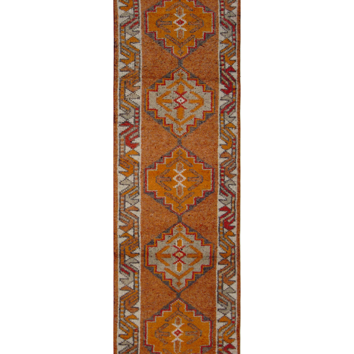 Pacific Kurdish  Orange Ivory Transitional