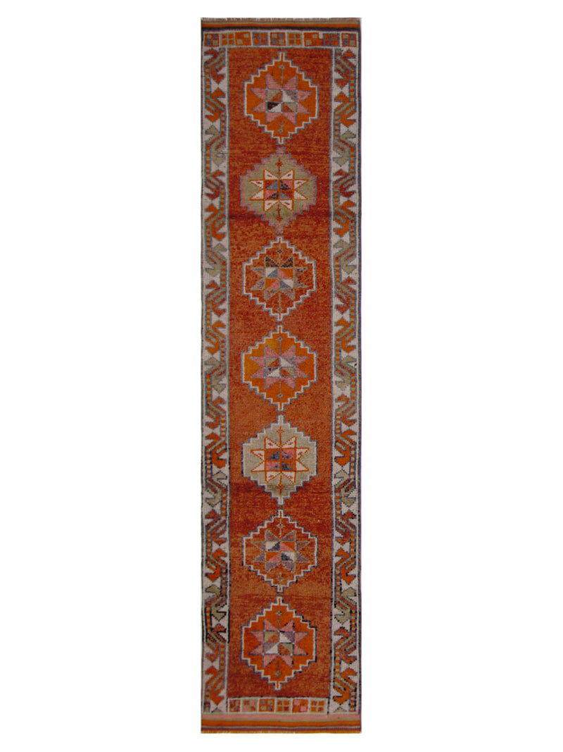 Pacific Kurdish  Orange Ivory Transitional