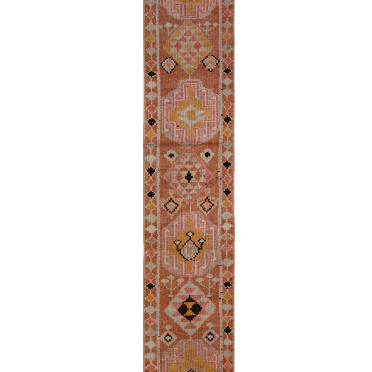 Pacific Kurdish  Peach Peach Transitional
