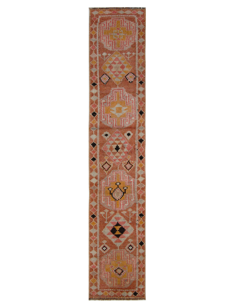 Pacific Kurdish  Peach Peach Transitional