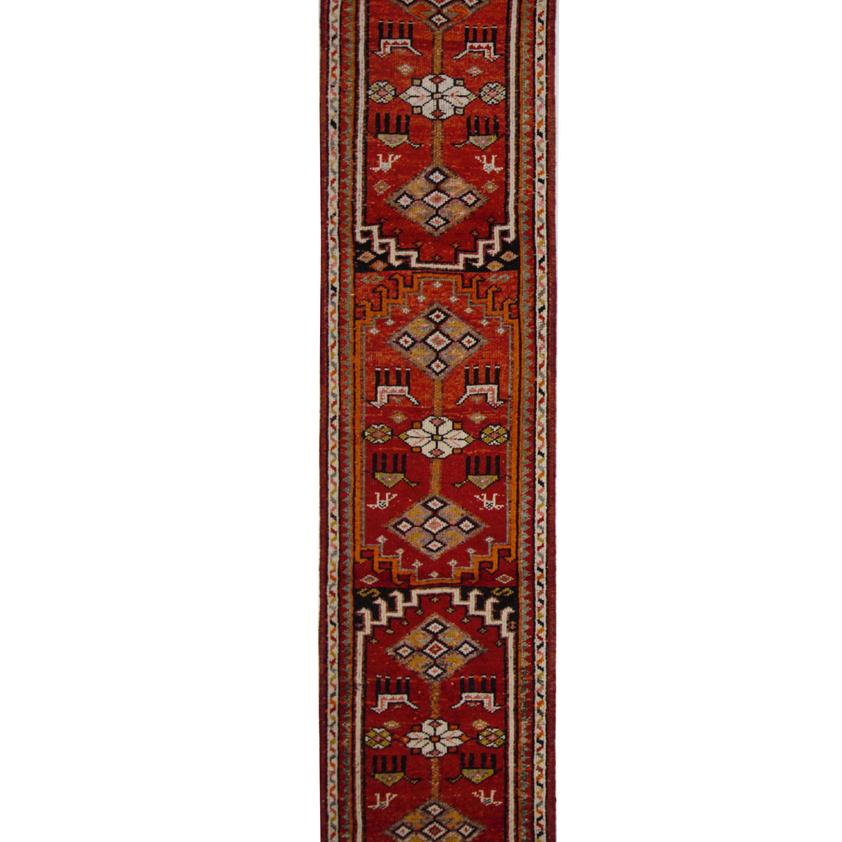 Pacific Kurdish  Red Orange Transitional