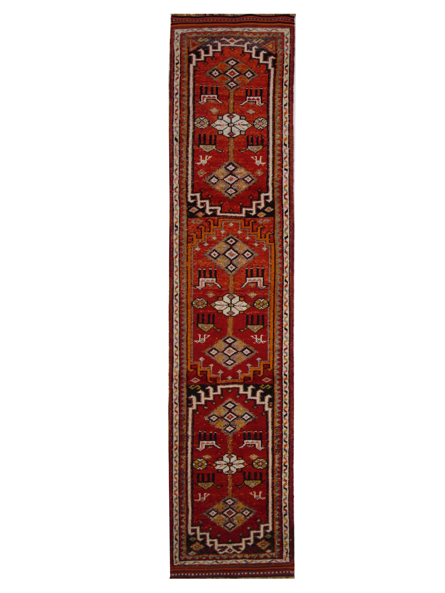 Pacific Kurdish  Red Orange Transitional