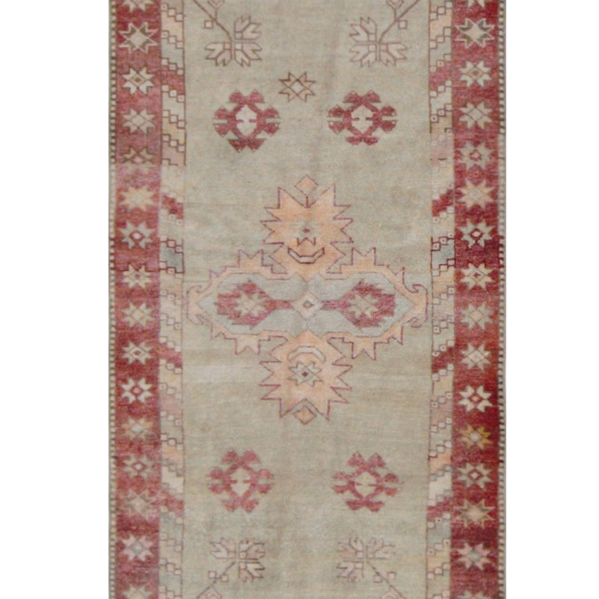 Pacific Anatolian  Olive Rust Transitional