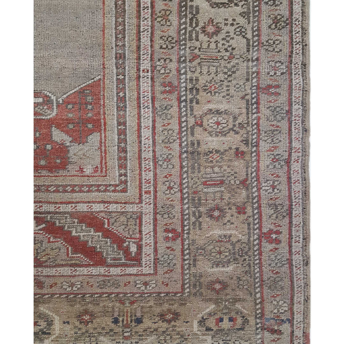 Pacific Anatolian 43243 Rust Latte Transitional Hand Knotted Rug