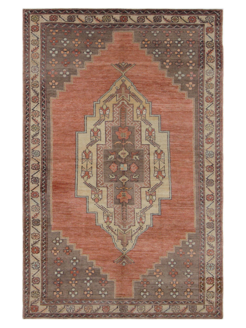 Pacific Anatolian  Rust Brown Transitional