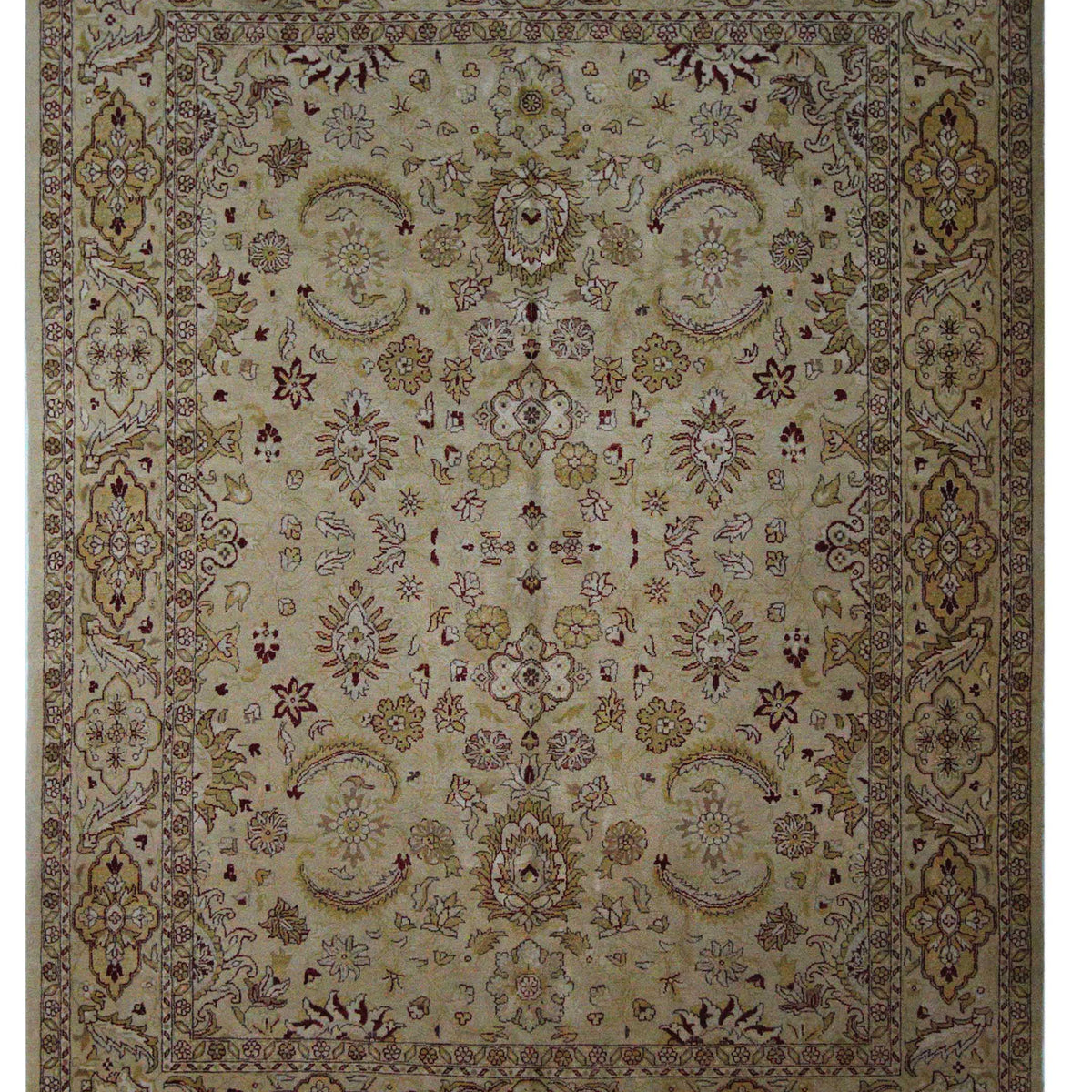 Pacific Agra  Cream Cream Transitional