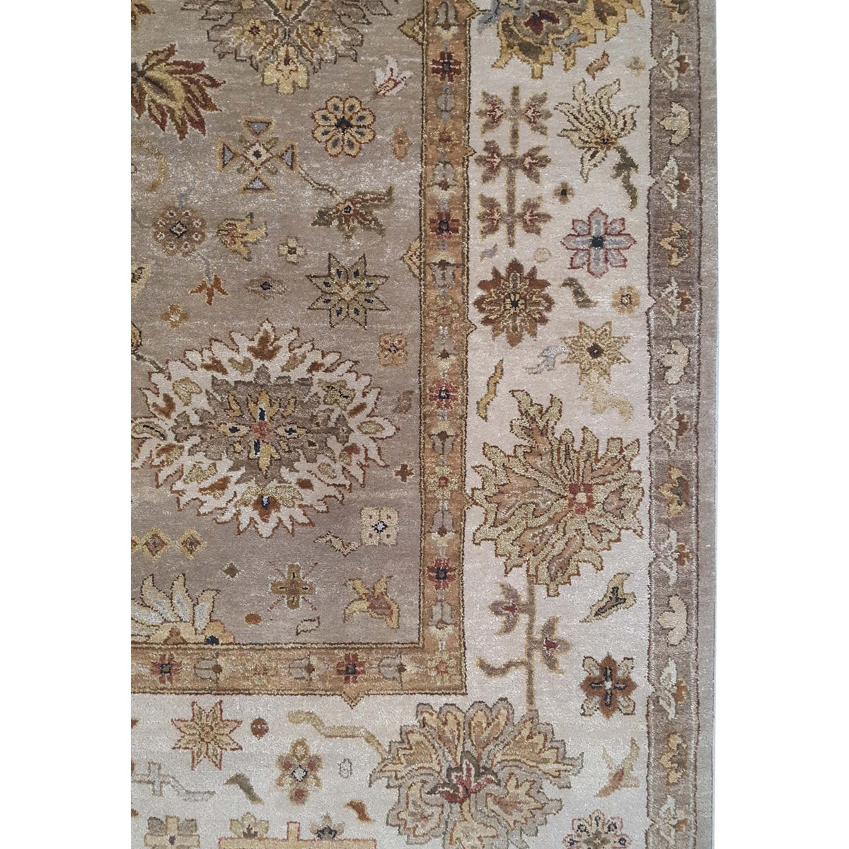 Pacific Maharaja 43302 Beige Ivory Transitional Hand Knotted Rug