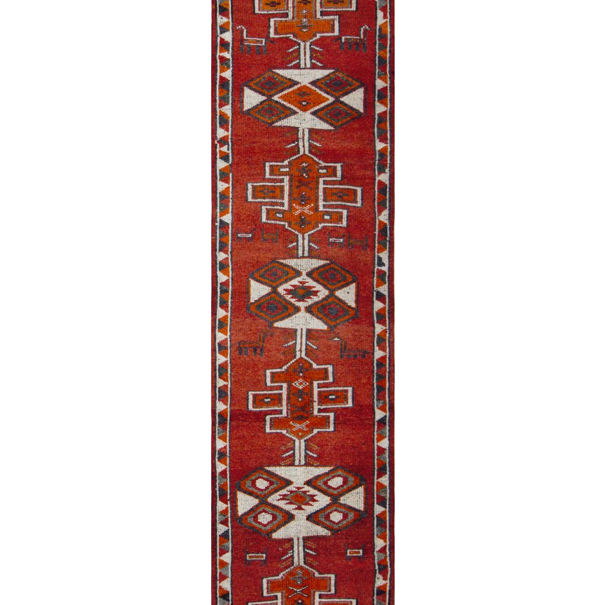 Pacific Kurdish  Orange Ivory Traditional