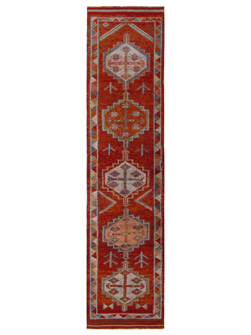 Pacific Kurdish  Orange Orange Traditional