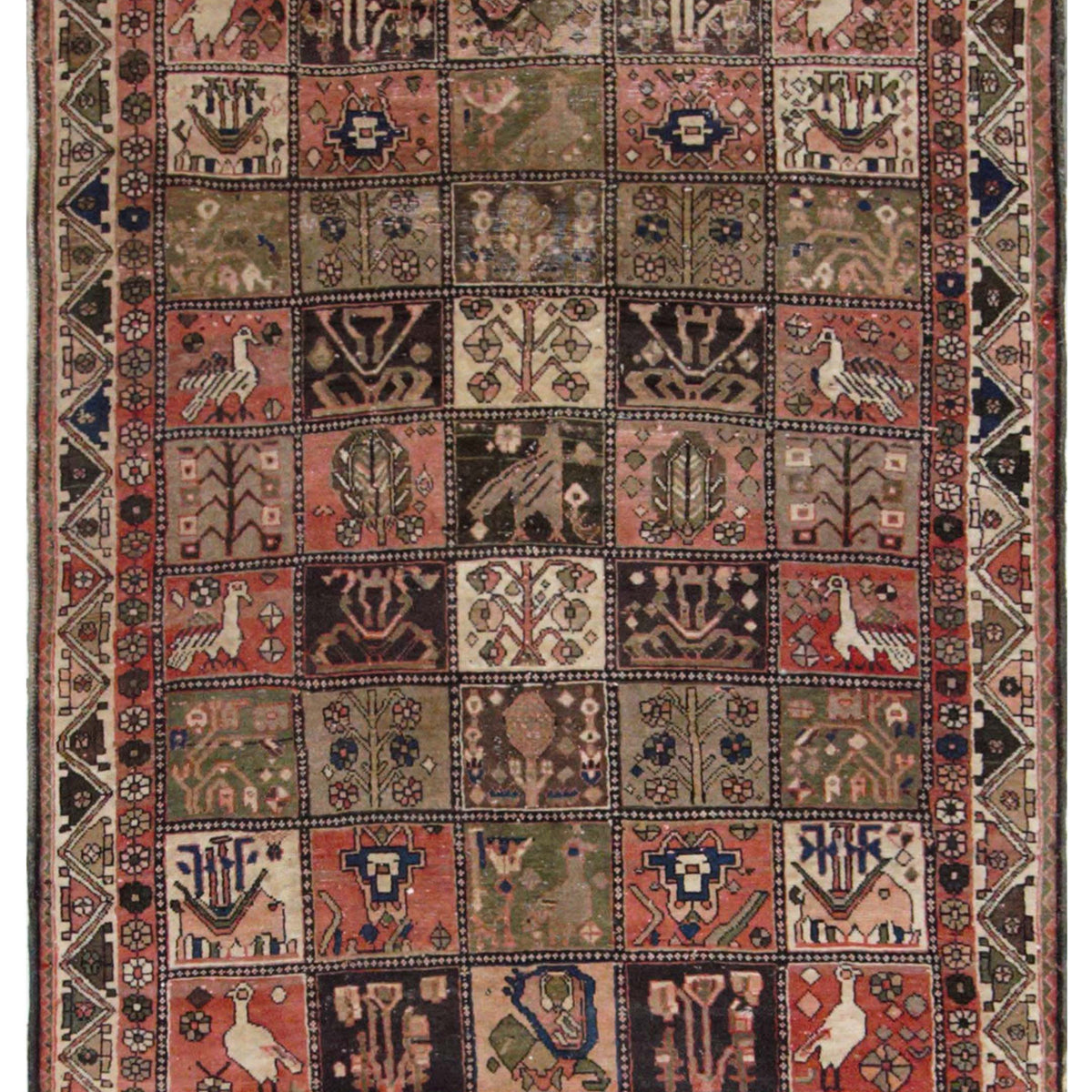 Pacific Bakhtiyari  Rust Multi Traditional