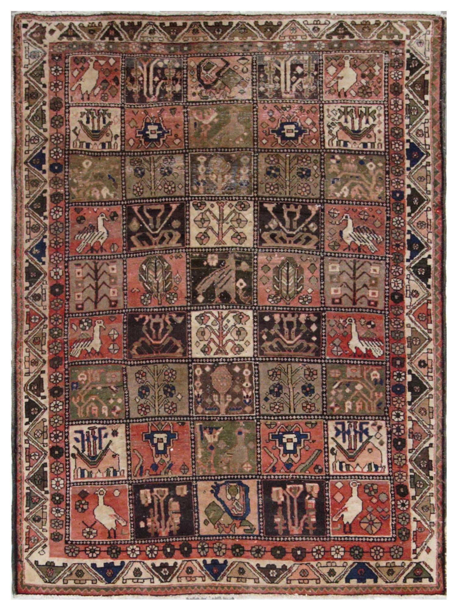 Pacific Bakhtiyari  Rust Multi Traditional