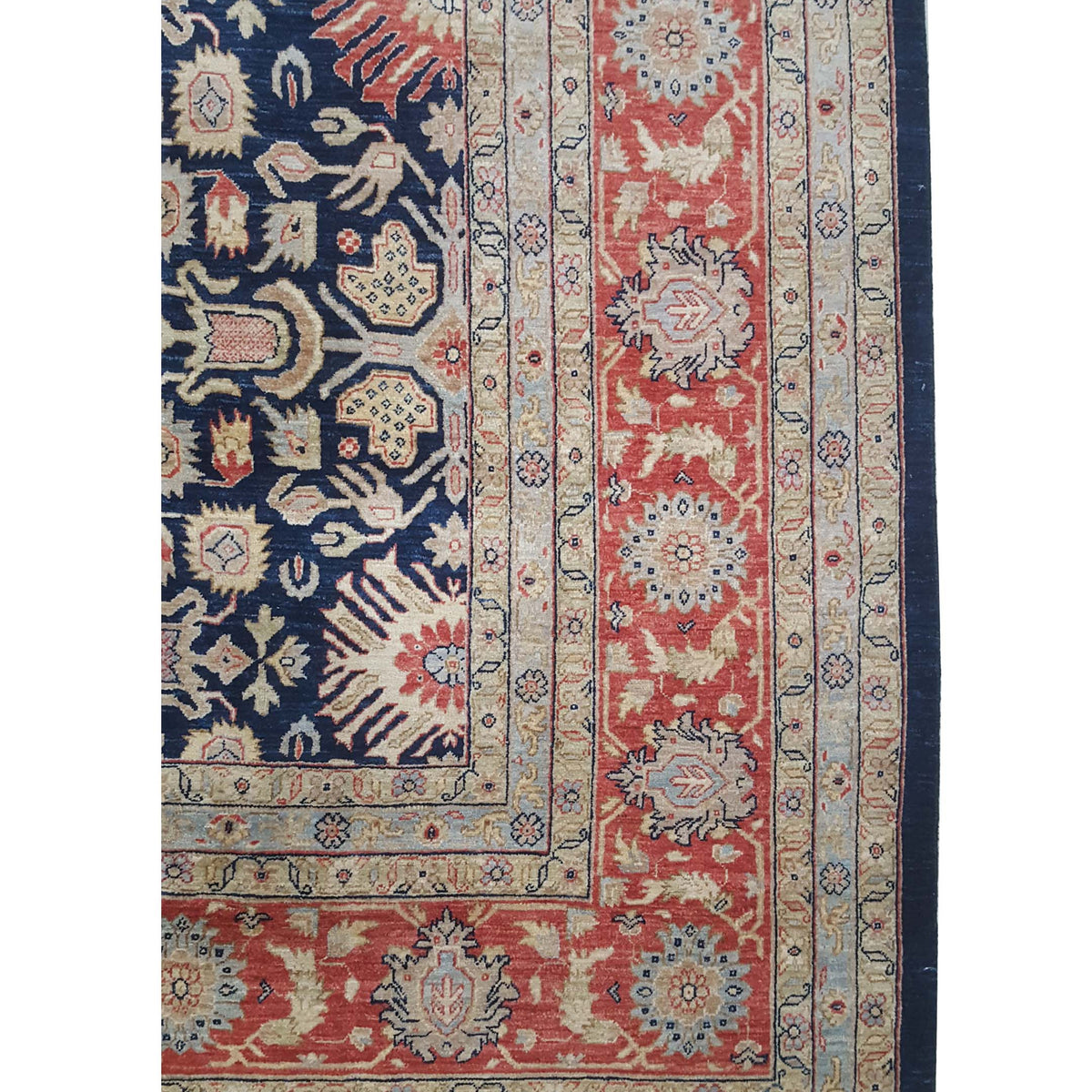 Pacific Ziegler 43757 Indigo Coral Traditional Hand Knotted Rug