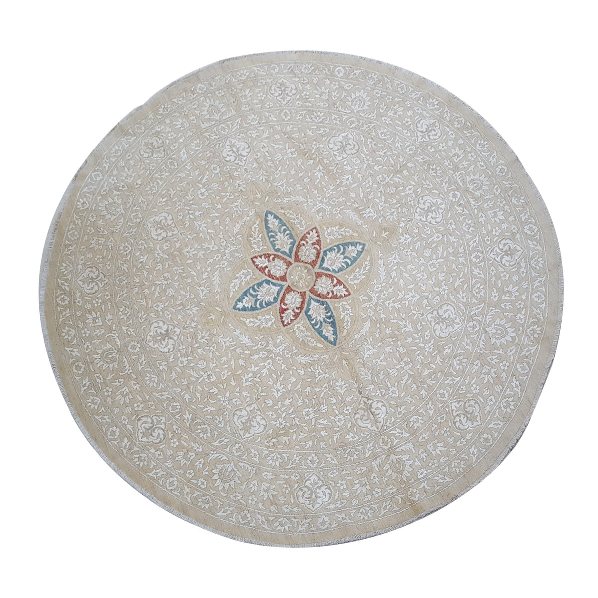 Pacific Ziegler  Ivory  Transitional